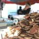coquille st jacques